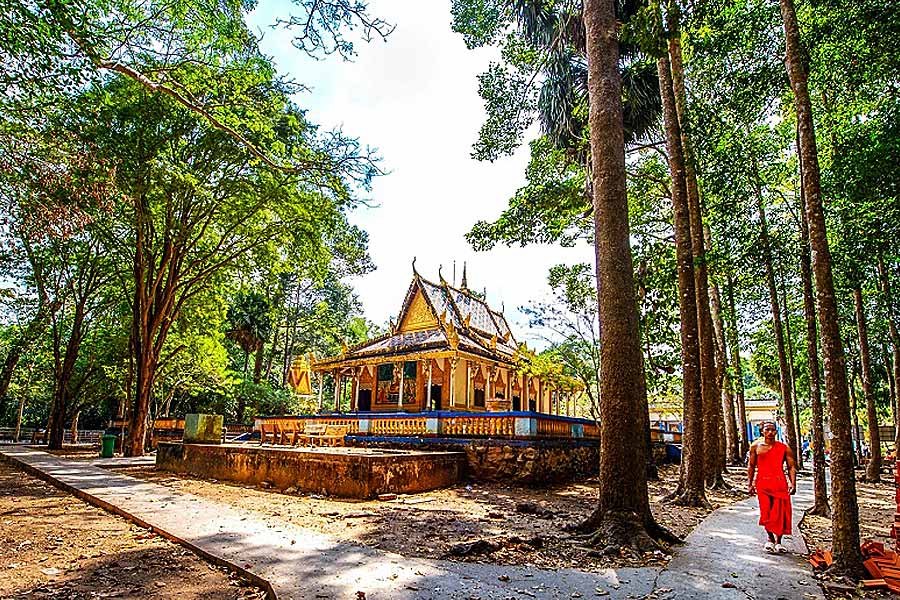 Chùa Dơi Sóc Trăng: Kỳ quan giữa lòng Đồng bằng sông Cửu Long