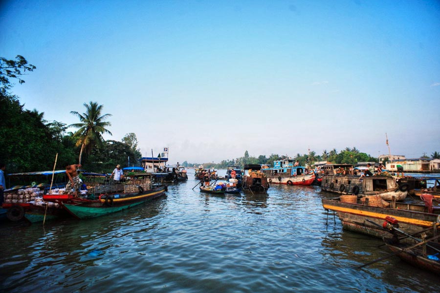 Cuộc sống sôi động trên sông Hậu