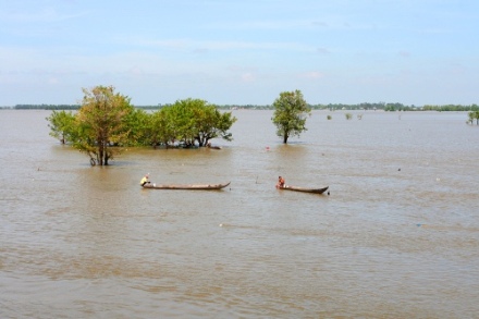 Đồng Láng Linh Mùa Nước Nổi: Khám Phá Vẻ Đẹp Đồng Thảo Miền Tây