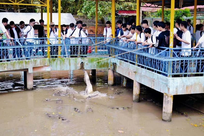 khu-du-lich-sinh-thai-vinh-sang-cu-lao-an-binh-vinh-long-8