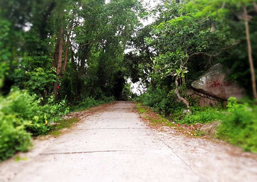Con đường lên Núi Ba Thê