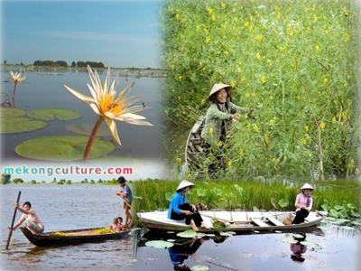 Vẻ đẹp quyến rũ của mùa nước nổi miền Tây