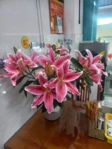 Bún Mắm Liêm